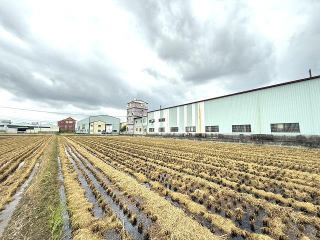 高雄岡山農地-9