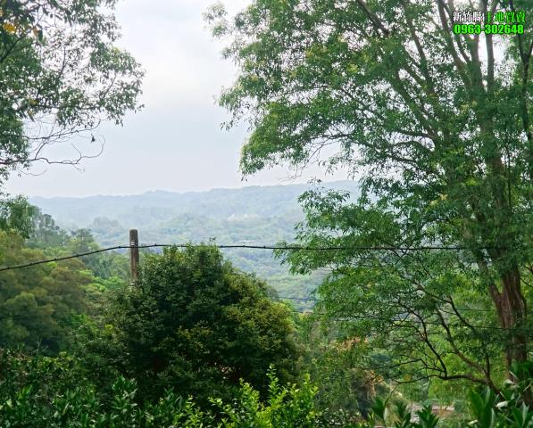 新竹北埔農地_山坡地_休閒地-13