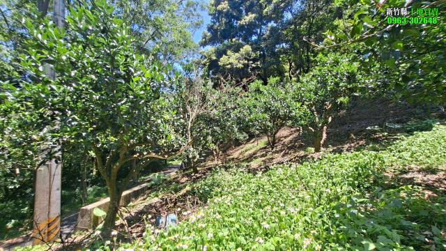新竹北埔農地_山坡地_休閒地-3