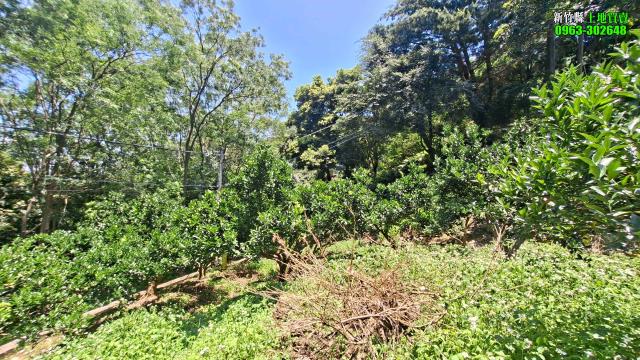 新竹北埔農地_山坡地_休閒地-5