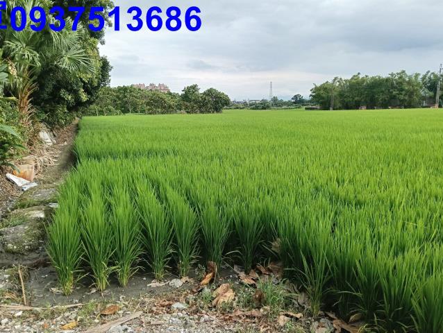 宜蘭頭城農地-12