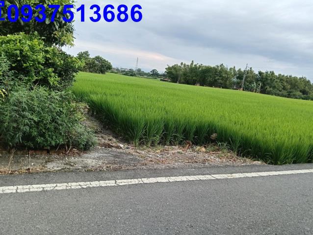 宜蘭頭城農地-2