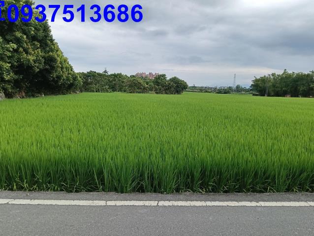 宜蘭頭城農地-3