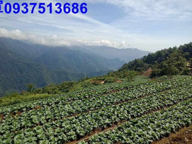 宜蘭南澳山坡地-3