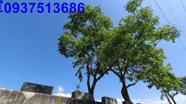 宜蘭礁溪農地-14