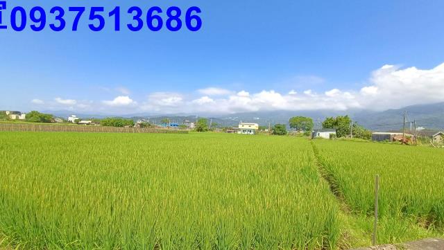 宜蘭礁溪農地-2
