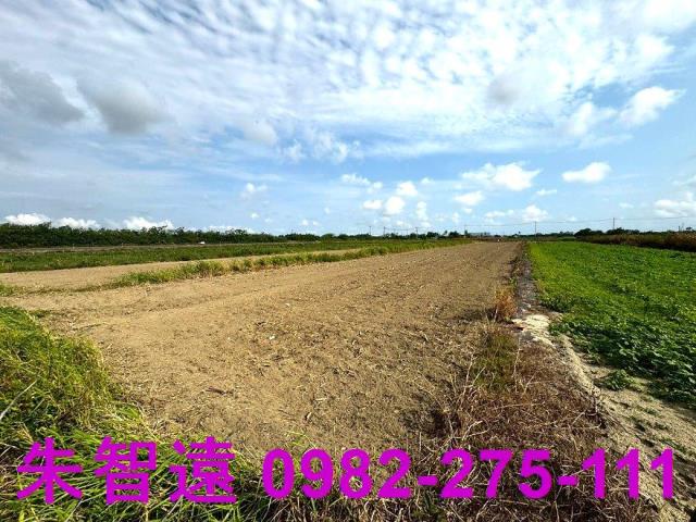 台南七股農地-4