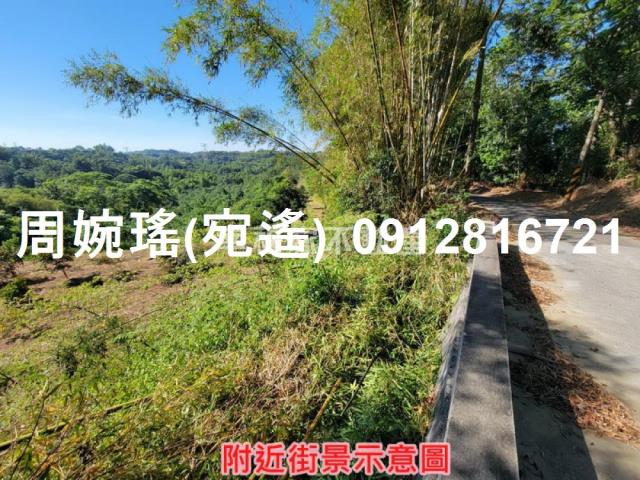 左鎮農地-5