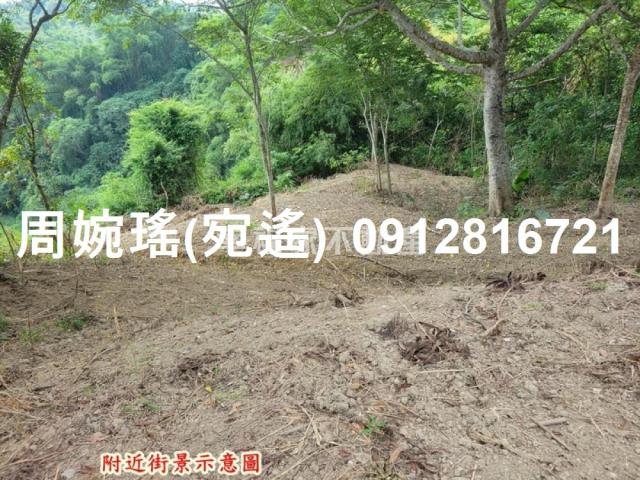 左鎮農地-10