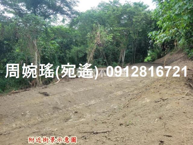 左鎮農地-11