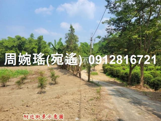 左鎮農地-3