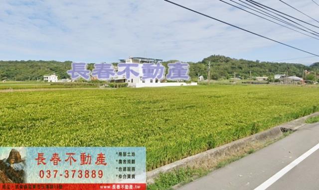 頭屋農地-1