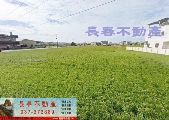 頭屋農地-2