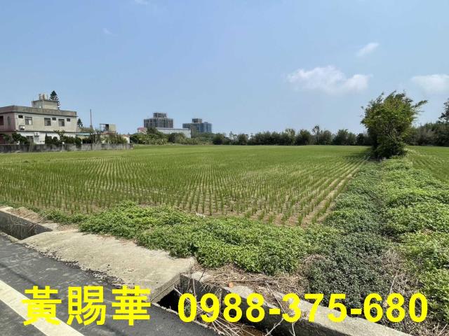 觀音農地-4