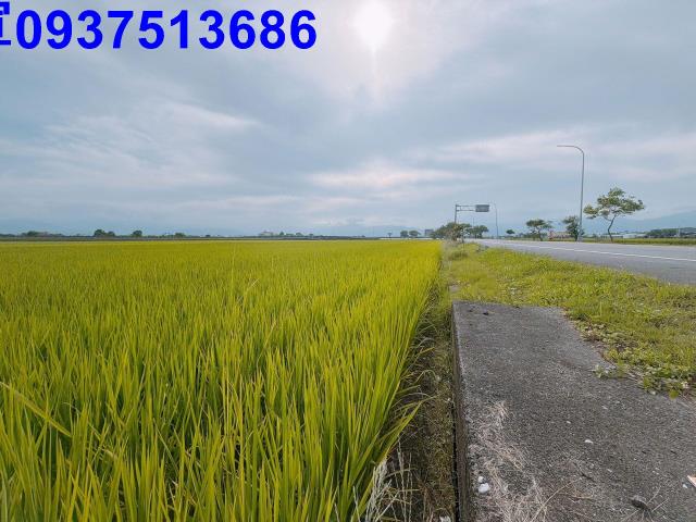 宜蘭壯圍農地-13