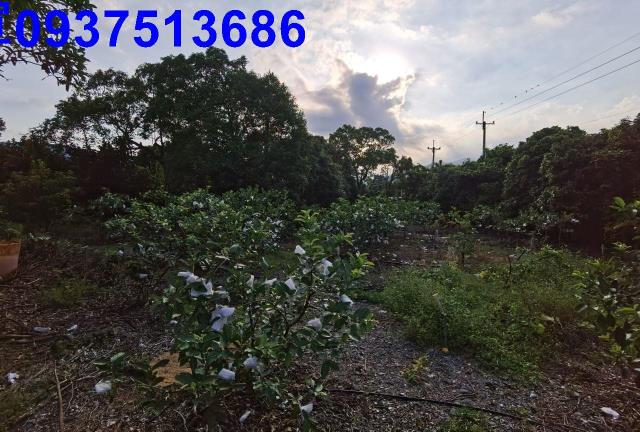 宜蘭礁溪農地-8