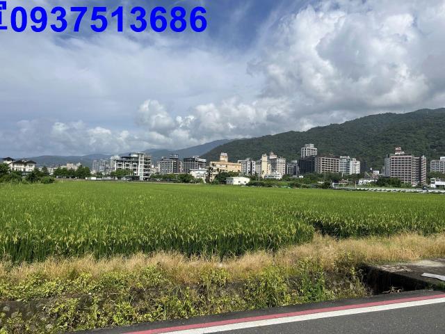 宜蘭礁溪農地-10