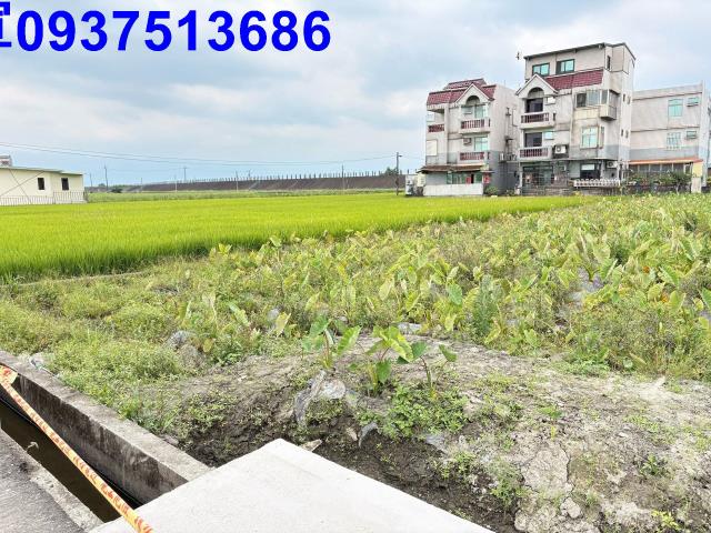 宜蘭壯圍農地-1
