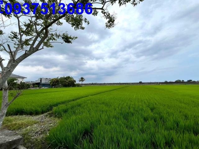 宜蘭壯圍農地-10