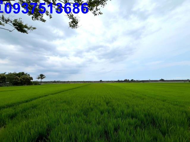 宜蘭壯圍農地-1