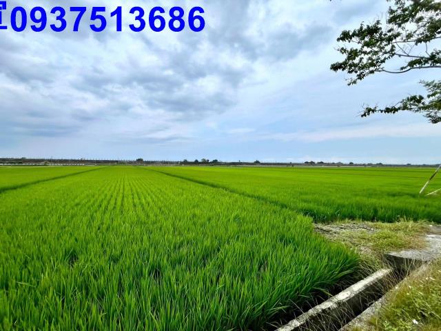 宜蘭壯圍農地-9