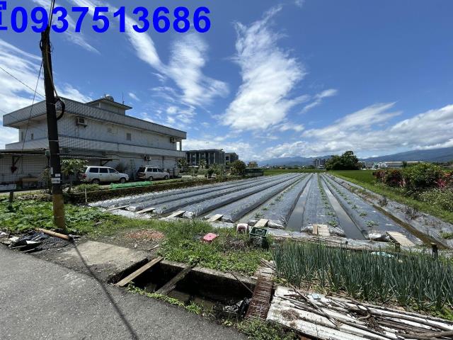宜蘭宜蘭市農地-3