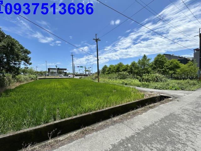 宜蘭宜蘭市農地-7