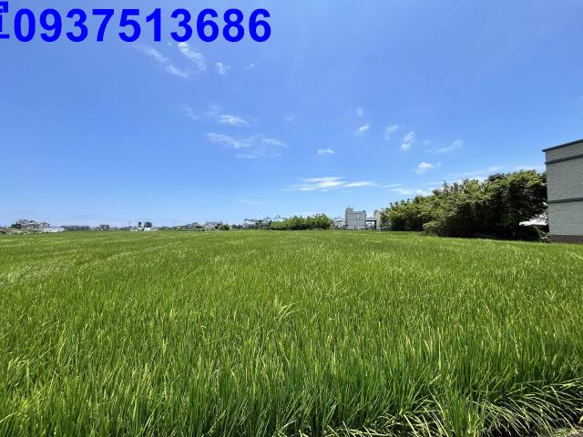 宜蘭壯圍農地-15