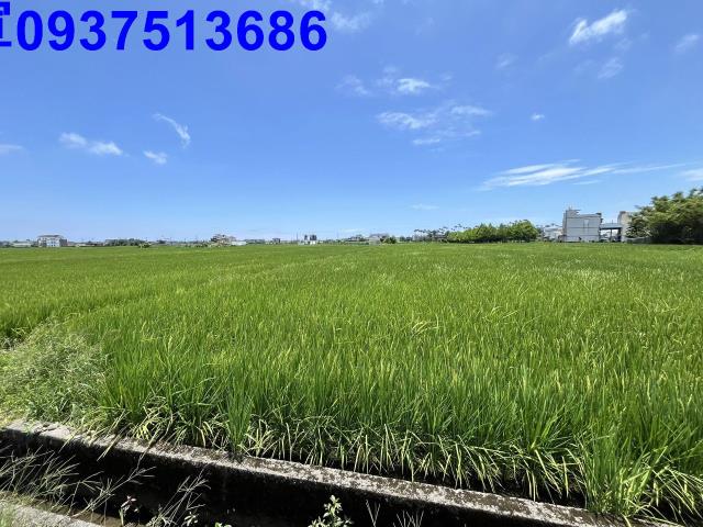 宜蘭壯圍農地-2