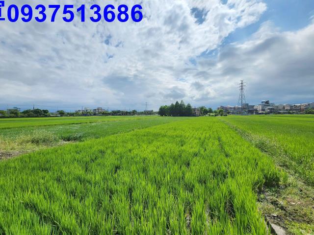 宜蘭宜蘭市農地-14