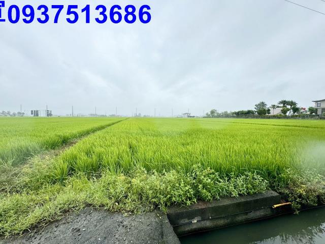 宜蘭壯圍農地-2