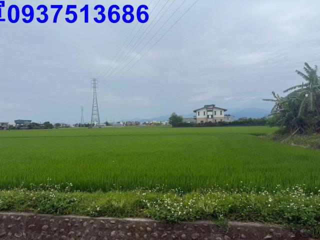 宜蘭宜蘭市農地-13