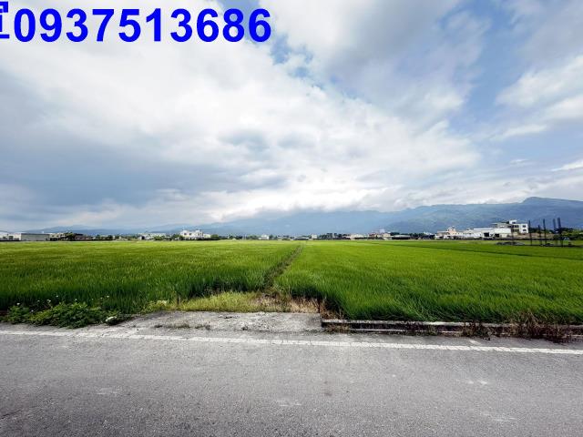 宜蘭礁溪農地-1