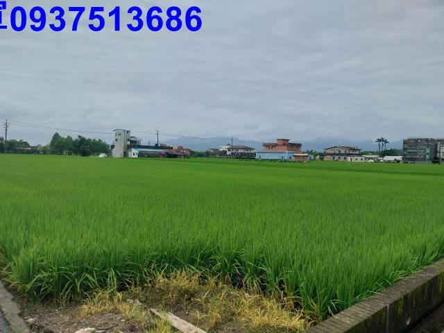 宜蘭員山農地-0