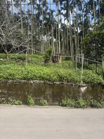 新社山坡地-2