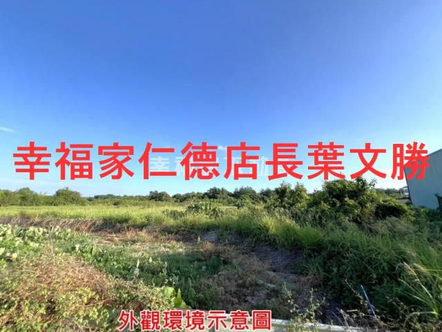 仁德農地-12