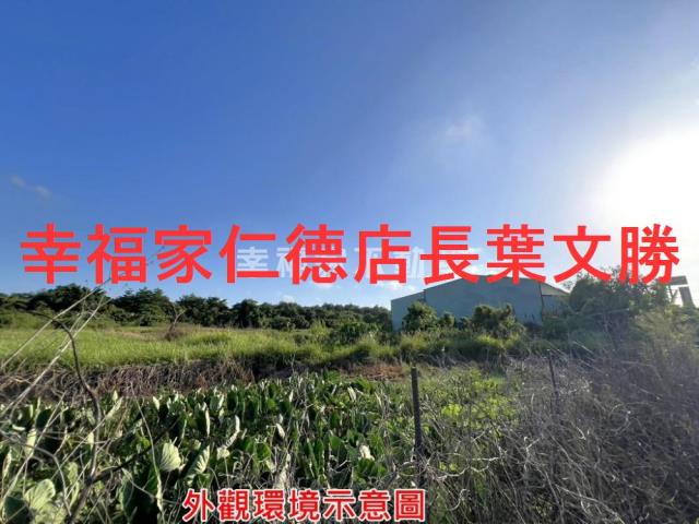 仁德農地-13