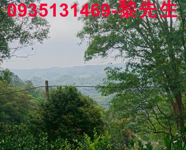 北埔農地-13