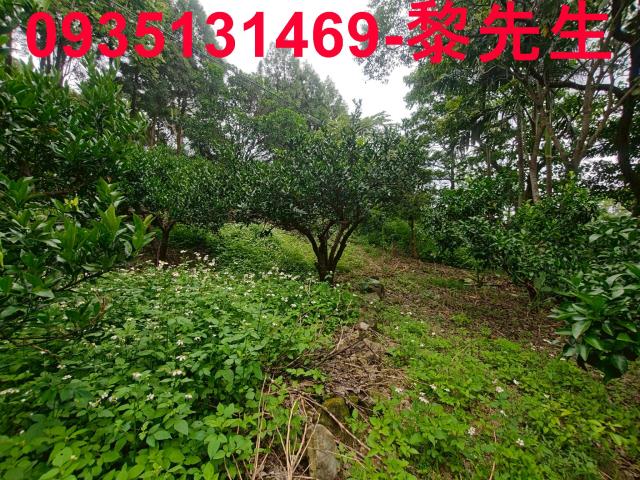 北埔農地-9