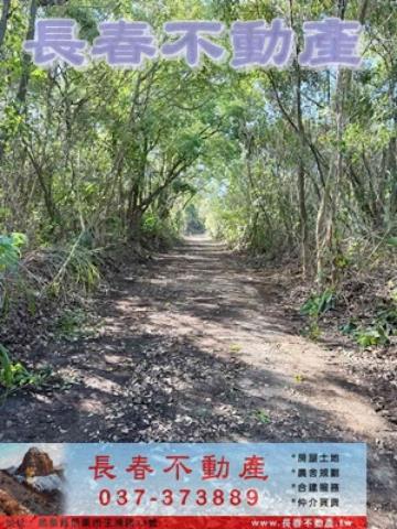苗栗市農地_山坡地_休閒地-2