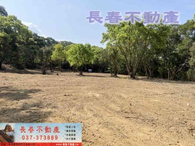 苗栗市農地_山坡地_休閒地-6