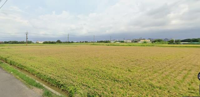 中壢農地-5