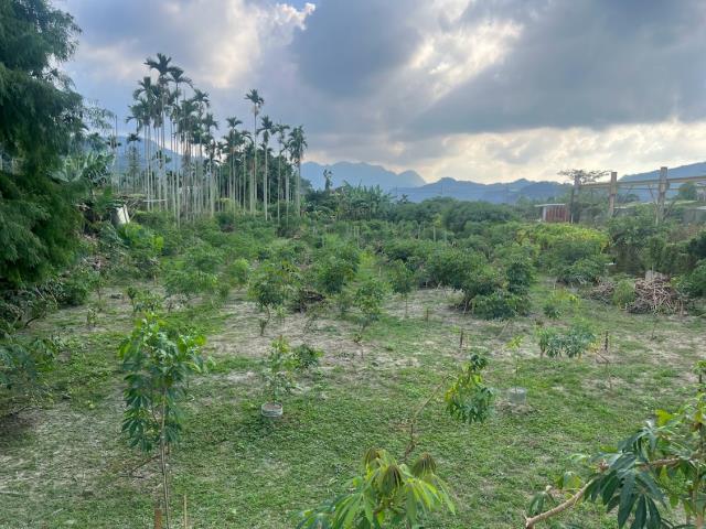 東勢農地-4