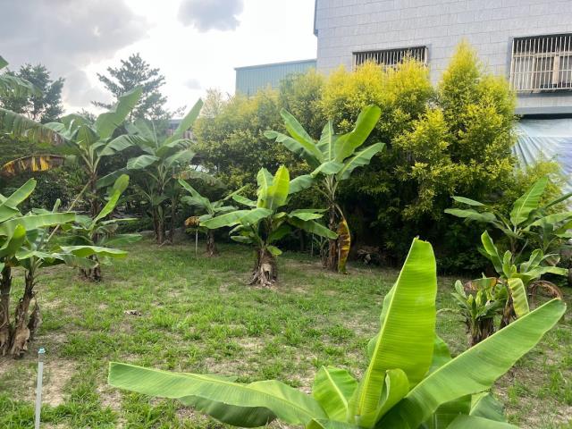東勢農地-5