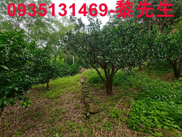 新竹北埔農地-12