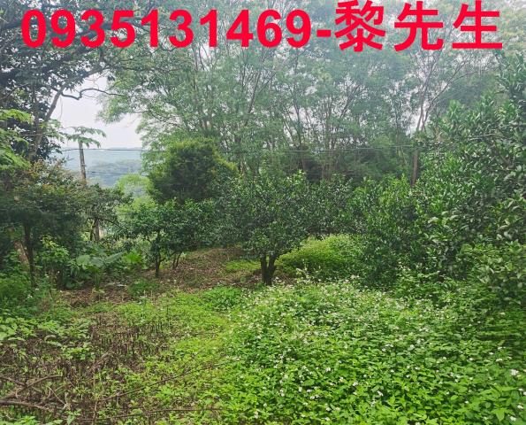 新竹北埔農地-15