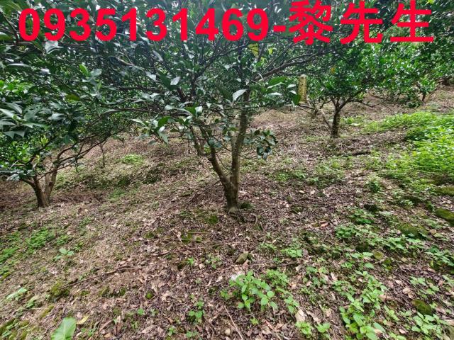 新竹北埔農地-3