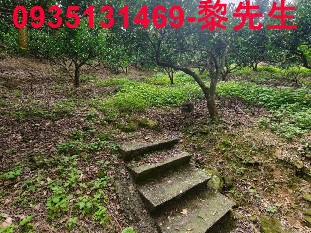 新竹北埔農地-4