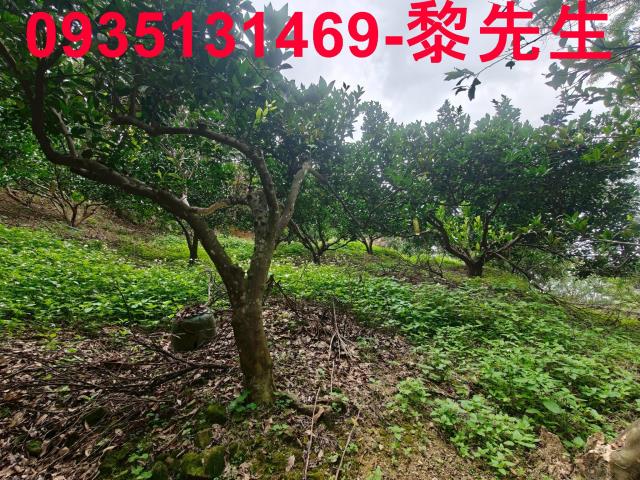 新竹北埔農地-5
