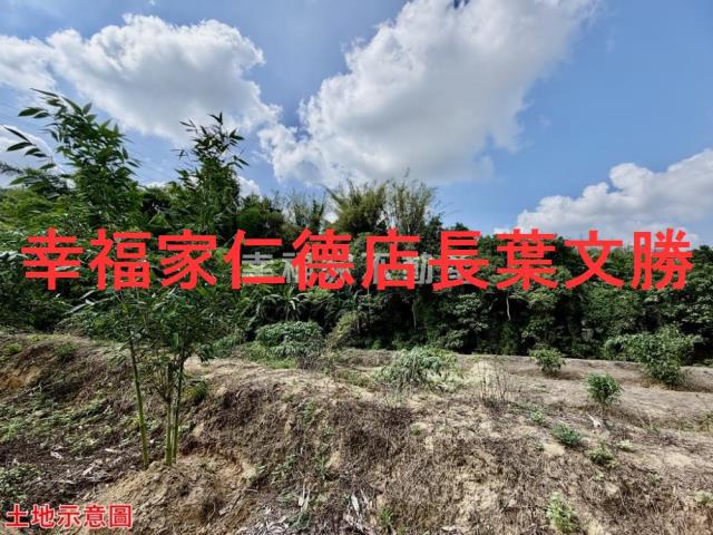 台南關廟農地-11